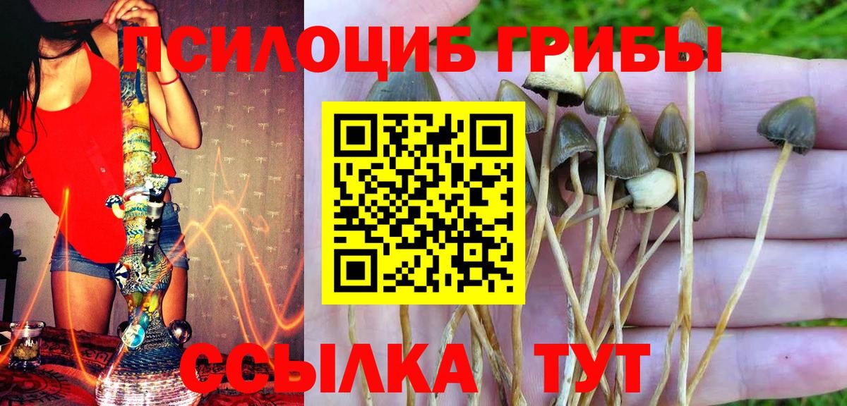 Псилоцибиновые грибы ЛСД Нягань